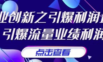 张琦《商业创新之引爆利润增长》引爆流量业绩利润 -VC程序员