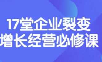 张琦《盈利增长17堂必修课》企业裂变增长的经营智慧，带你了解增长的本质 -VC程序员