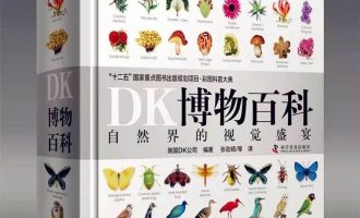 DK百科全书560本合集 -VC程序员