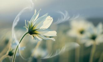 要福利每日分享2026-03-31