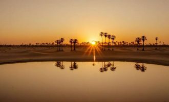 要福利每日分享2026-04-27