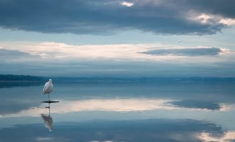 要福利每日分享2026-04-22